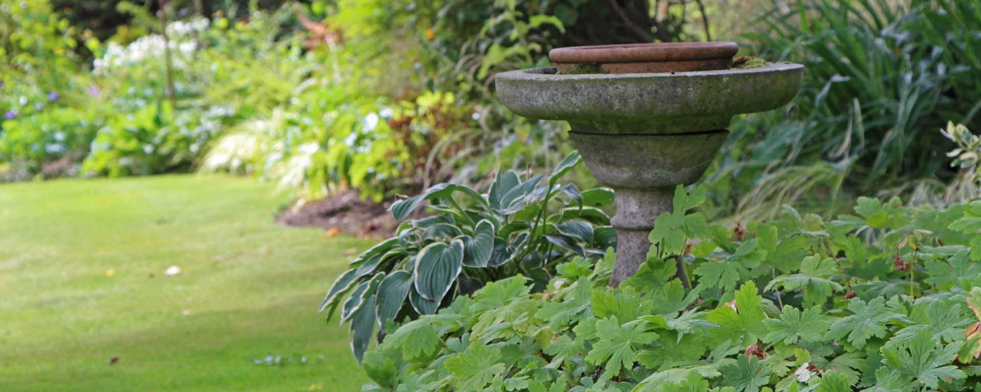 Garden by Veitch Garden Design showing bird bath and border